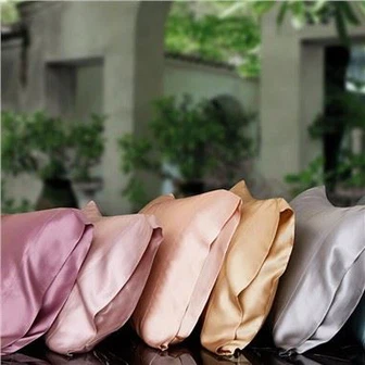 Eco-friendly 100% Pure Silk Pillow Case